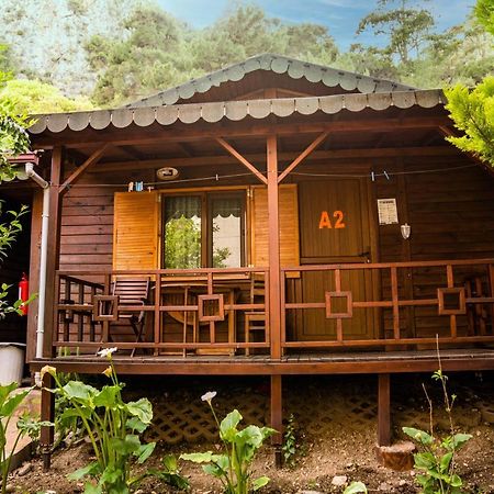 Ikiz Pension Bungalow Cirali Exterior photo