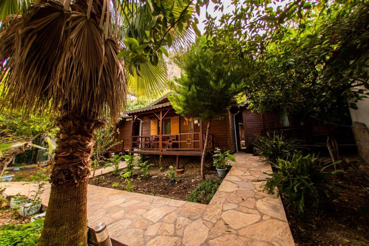 Ikiz Pension Bungalow Cirali Exterior photo